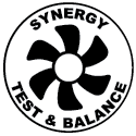 Synergy Test and Balance Logo